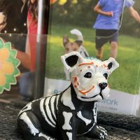Buckner Terrace Animal Clinic ico
