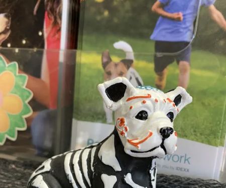 Buckner Terrace Animal Clinic