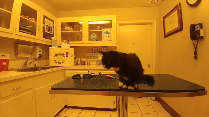 Casa Linda Animal Clinic Picture 1