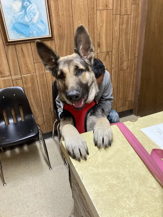 Animal Medical Clinic Picture 1