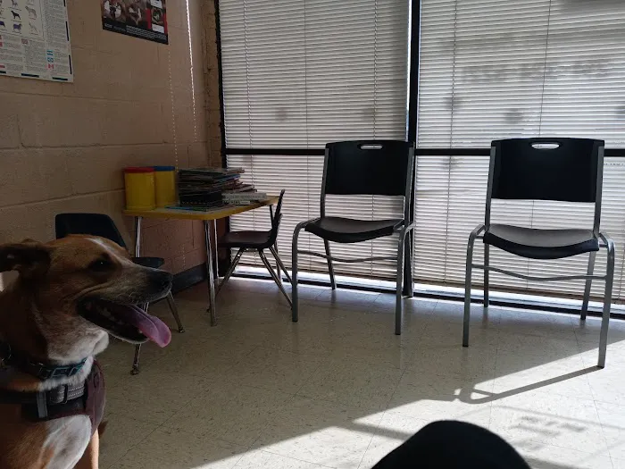 Animal Medical Clinic Picture 4