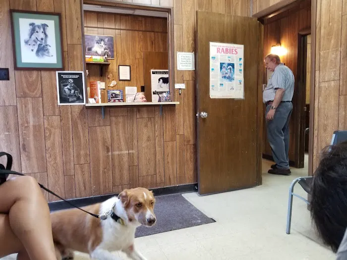Animal Medical Clinic Picture 10