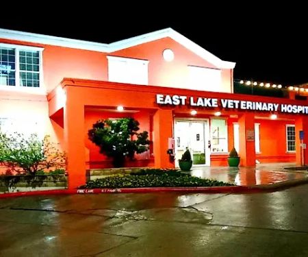 East Lake Veterinary Hospital PC: Deason Molly DVM