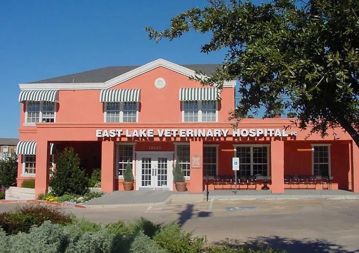 East Lake Veterinary Hospital Picture 1