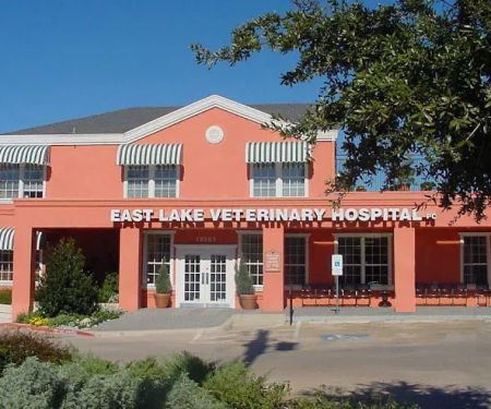 East Lake Veterinary Hospital