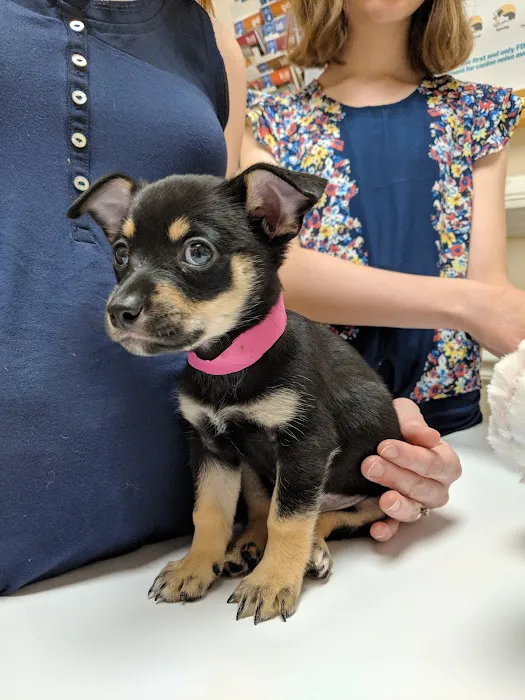 East Lake Veterinary Hospital Picture 7
