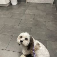Meadow Central Veterinary Clinic ico