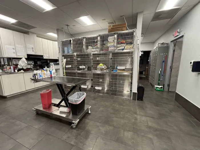 Meadow Central Veterinary Clinic Picture 3