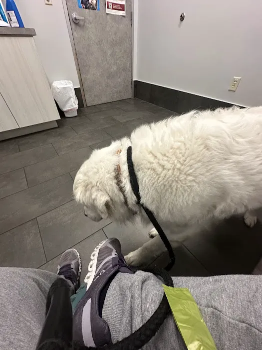 Meadow Central Veterinary Clinic Picture 6