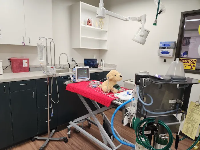 Preston Center Animal Clinic Picture 5