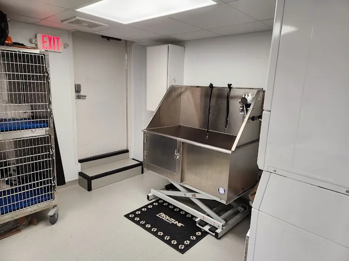 Preston Center Animal Clinic Picture 8