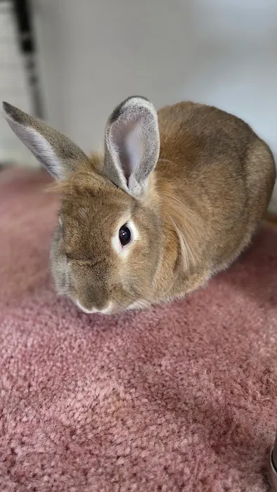 Sheehy Animal Hospital Picture 10