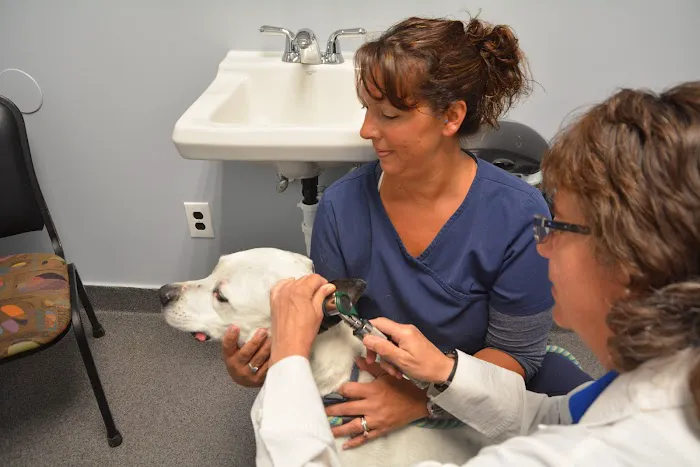 Jeffrey Animal Hospital Picture 1