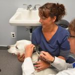 Jeffrey Animal Hospital