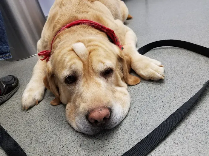 Jeffrey Animal Hospital Picture 4