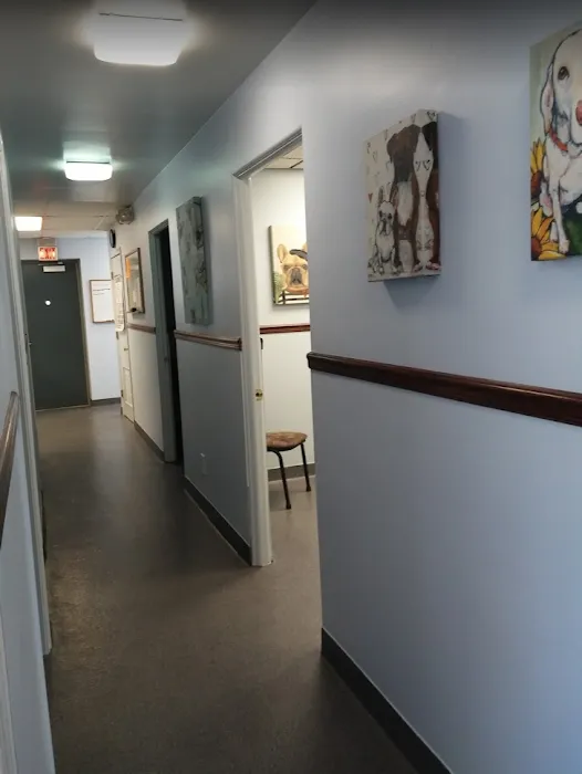 Jeffrey Animal Hospital Picture 5