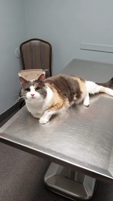 Jeffrey Animal Hospital Picture 6