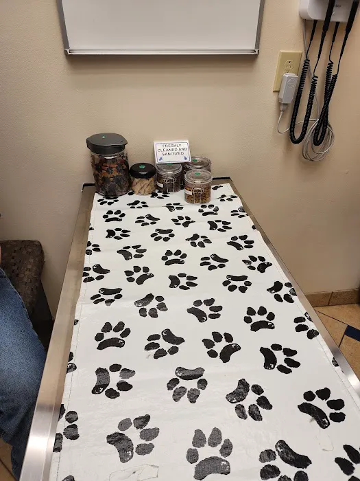 Allergy, Skin & Ear Clinic Picture 1