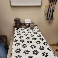 Allergy, Skin & Ear Clinic ico