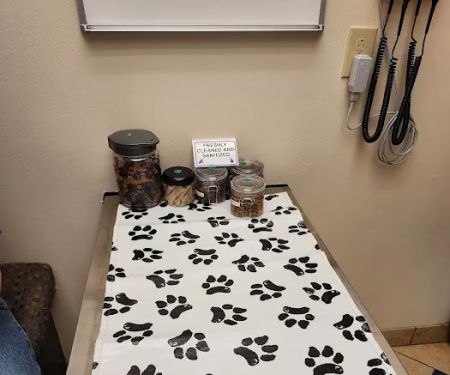 Allergy, Skin & Ear Clinic