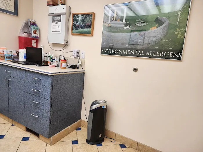Allergy, Skin & Ear Clinic Picture 2