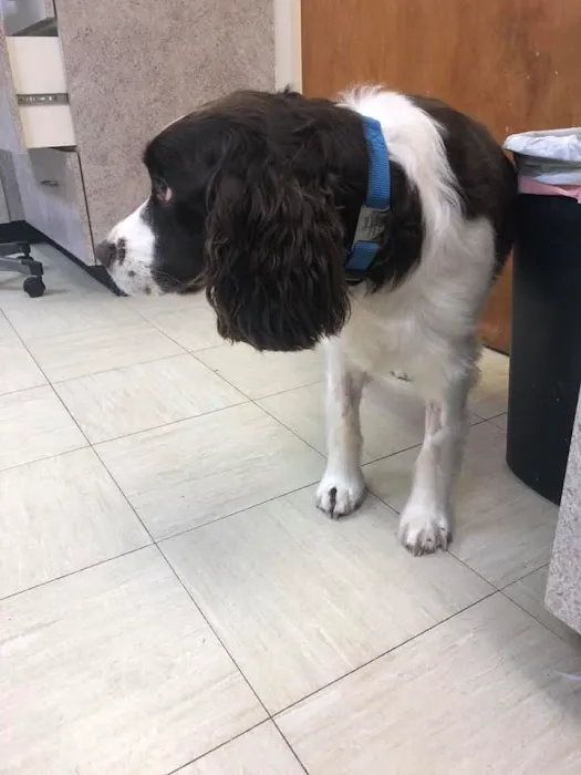 Bloom Animal Hospital Picture 1