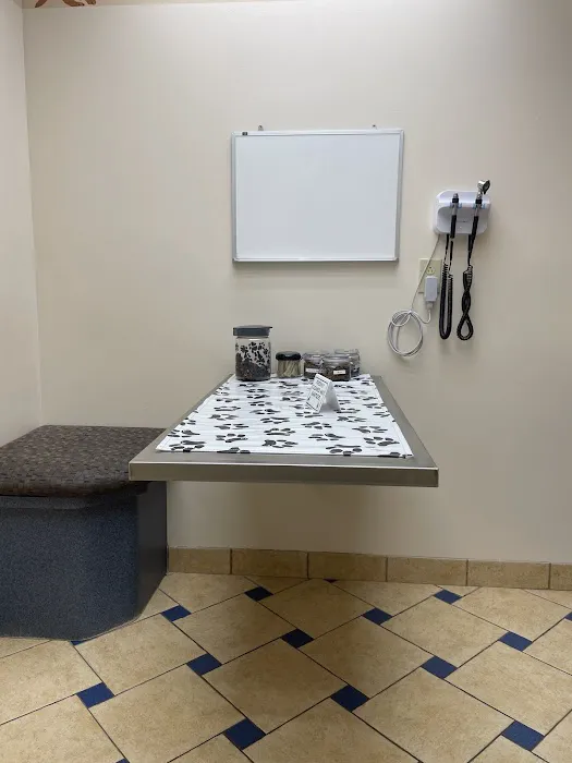 Bloom Animal Hospital Picture 3