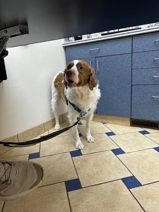 Bloom Animal Hospital Picture 2
