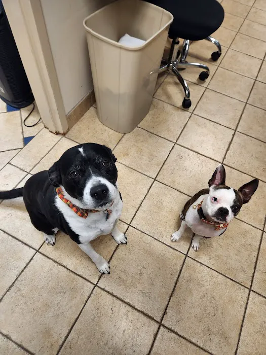 Bloom Animal Hospital Picture 5