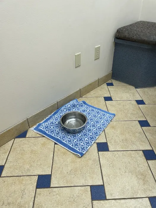 Bloom Animal Hospital Picture 6