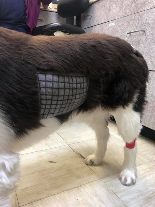 Bloom Animal Hospital Picture 8