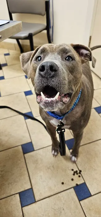 Bloom Animal Hospital Picture 9