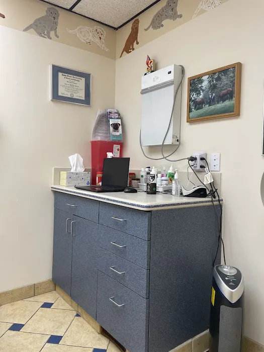 Bloom Animal Hospital Picture 10