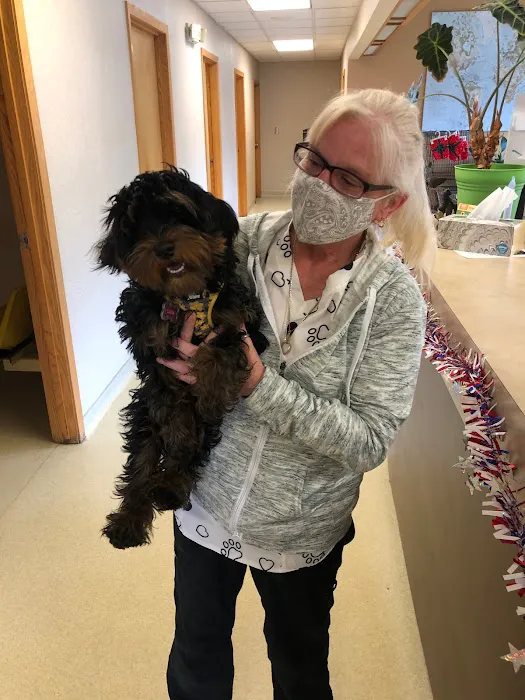 Allen Animal Hospital Picture 4