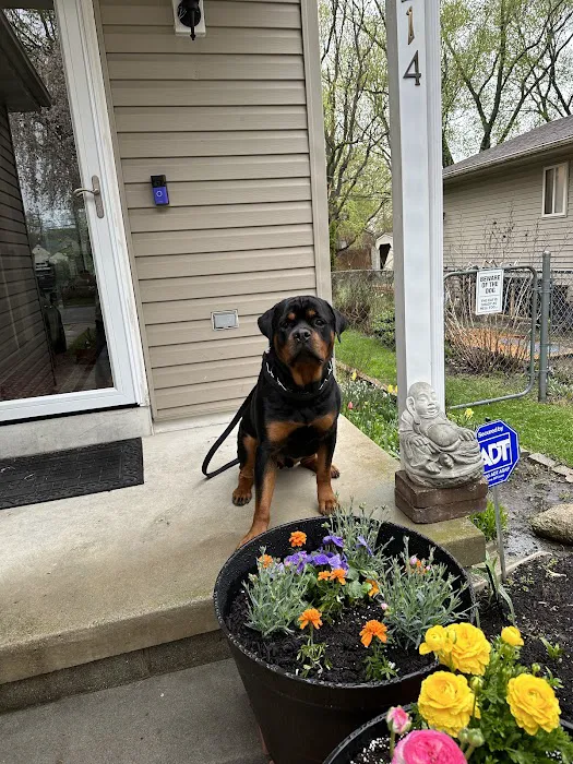 Unleashed Pet Care Picture 4