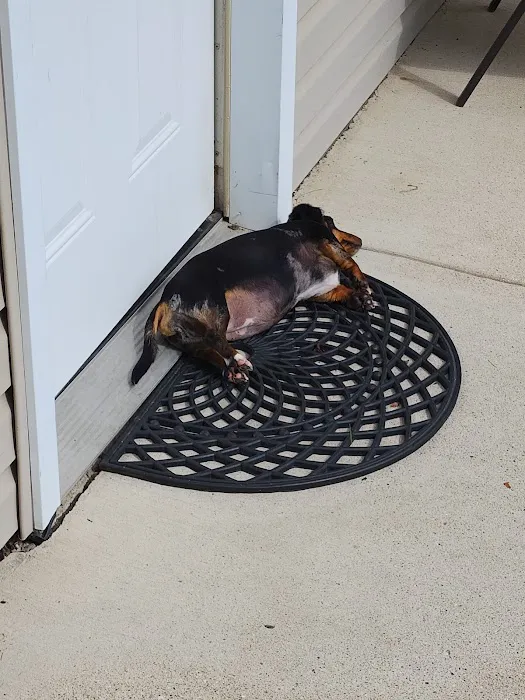 Unleashed Pet Care Picture 8