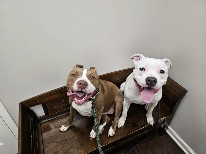 Unleashed Pet Care Picture 9