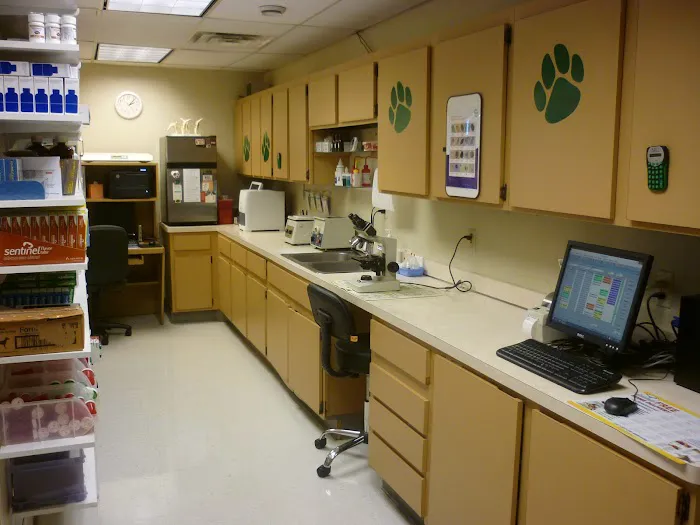 D'Adamo Veterinary Hospital Picture 1