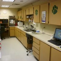 D'Adamo Veterinary Hospital ico