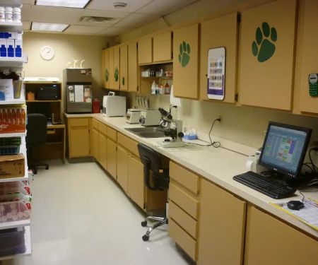 D'Adamo Veterinary Hospital