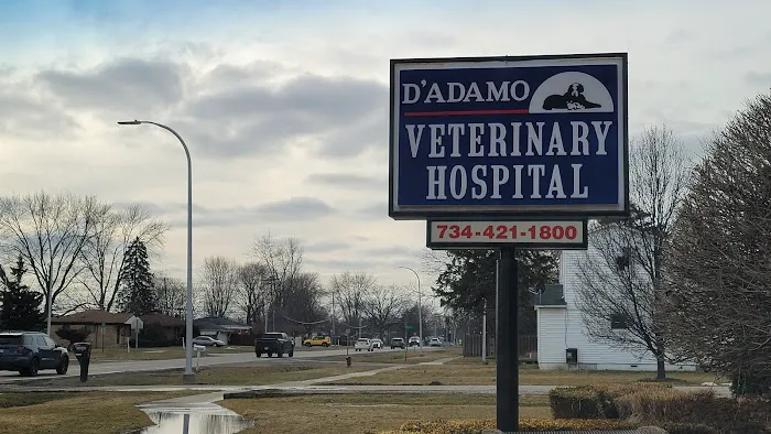 D'Adamo Veterinary Hospital Picture 10