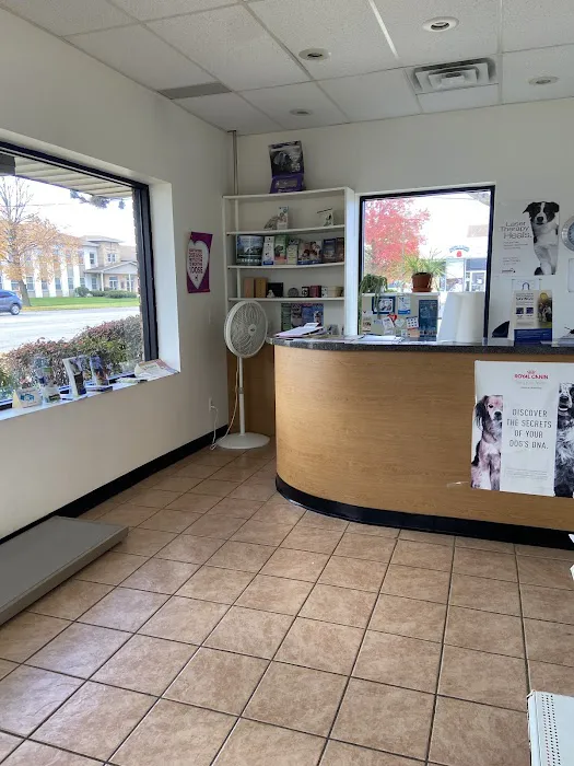 Amazon Animal Clinic Picture 3