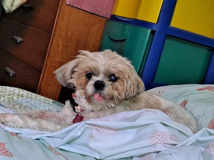 Amazon Animal Clinic Picture 5
