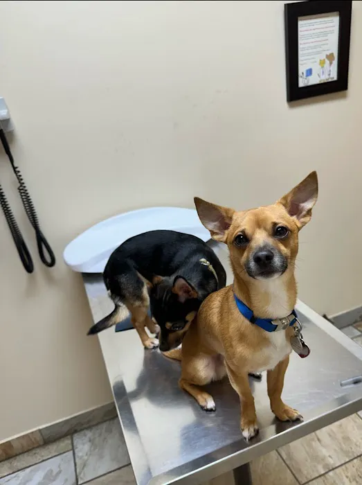 Garden City Veterinary Hospital Picture 2
