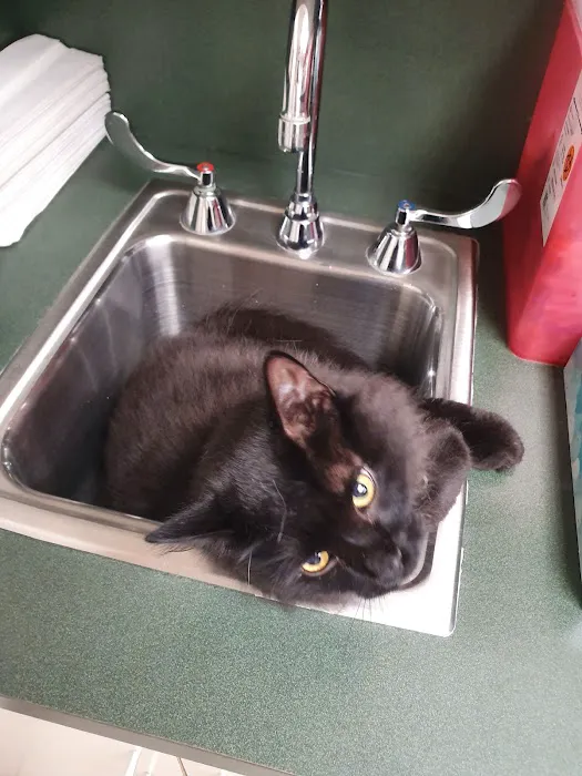 Dearborn Family Pet Care Picture 1