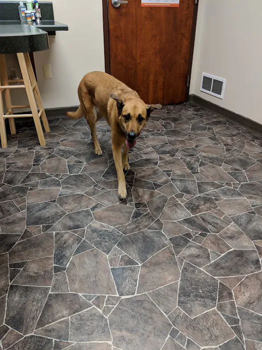 Serenity Animal Hospital & Pet Resort Picture 2