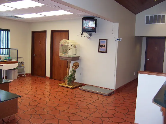 Serenity Animal Hospital & Pet Resort Picture 3