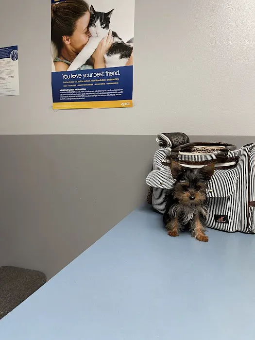 ALFA CARE ANIMAL HOSPITAL Picture 1