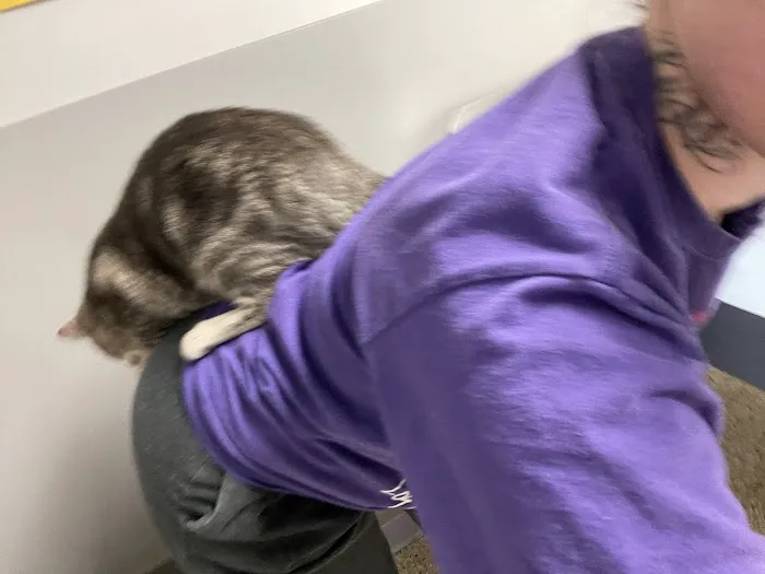 ALFA CARE ANIMAL HOSPITAL Picture 10