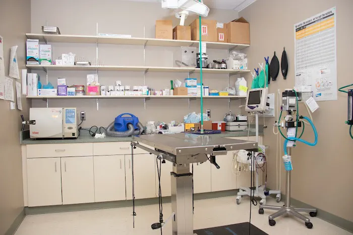 Metropolitan Veterinary Center Picture 3